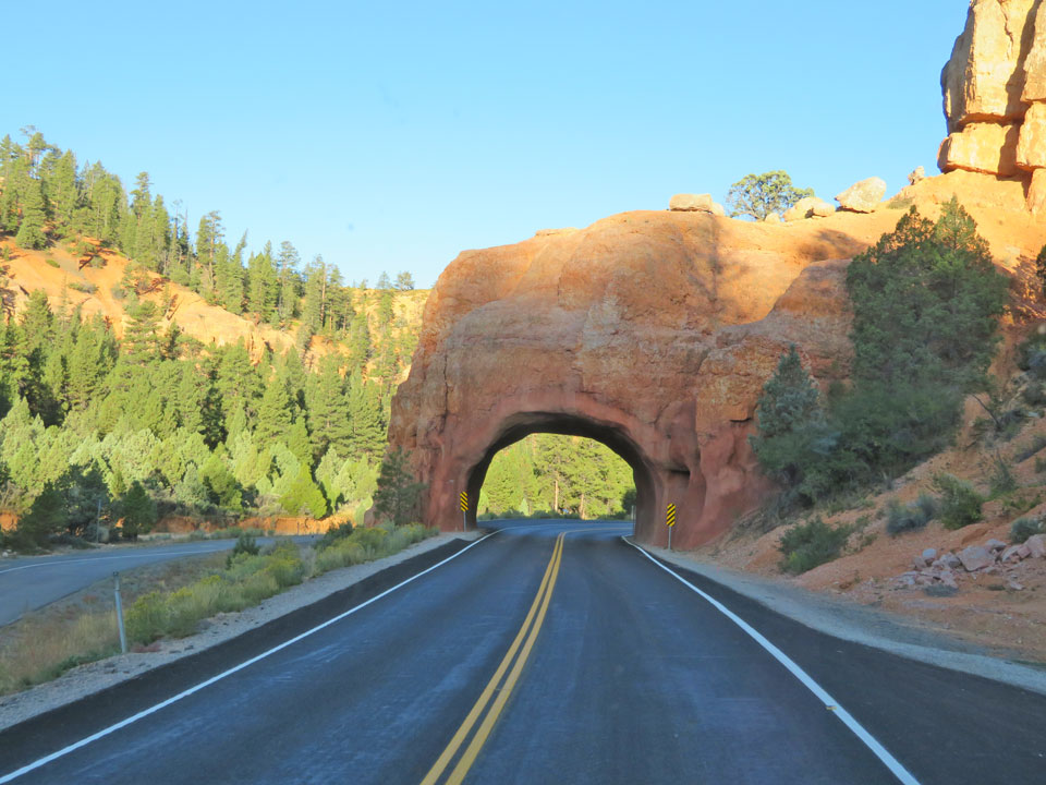 Red Canyonlands 2019