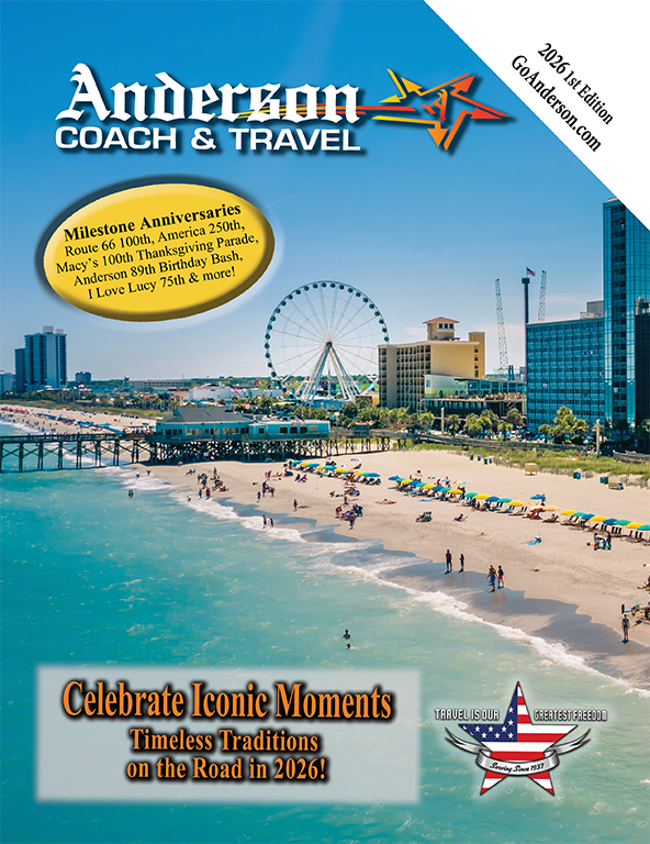 hot air balloon up close colorful