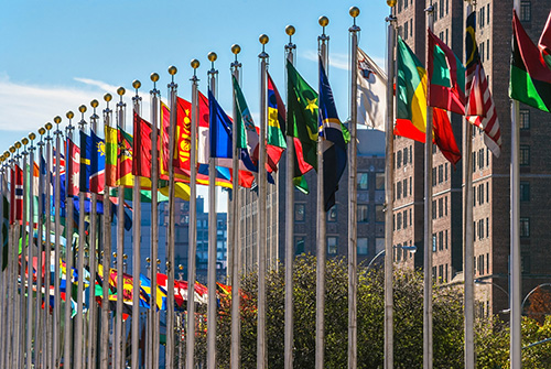 Immigration information for tours flags across the world