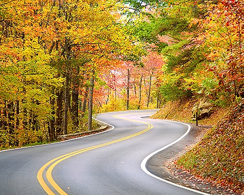 Autumn Foliage by Motorcoach